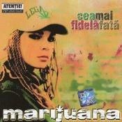 - cea mai fidela feat. puya - d-le feat. puya & ganja - tre' sa feat. ganja - sa-nteleg ca vrei sa